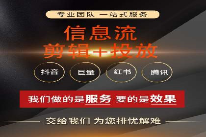 SEM代运营服务公司案例分析：数据驱动营销策略